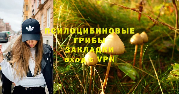 кокаин премиум Краснослободск