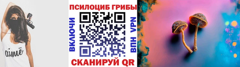 Купить где  Абдулино  Псилоцибиновые грибы Psilocybine cubensis 